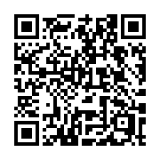 QR code linking to https://deploy-preview-3116--gohugoio.netlify.app/commands/hugo_new_theme/