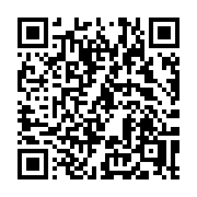 QR code linking to https://deploy-preview-3116--gohugoio.netlify.app/functions/openapi3/